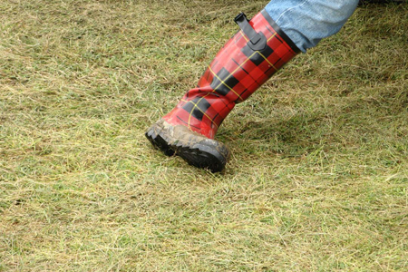 Beale Street Music Festival 2008