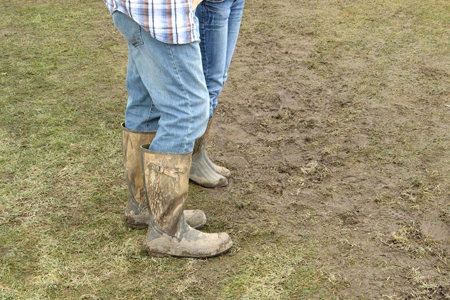 Beale Street Music Festival 2008
