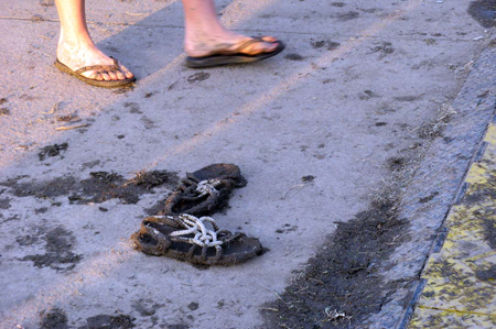 Beale Street Music Festival 2008