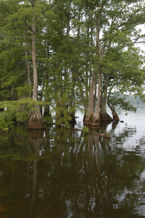 Eagle Lake Fishing Trip