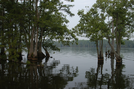 Eagle Lake Fishing Trip