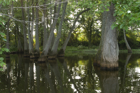 Eagle Lake Fishing Trip