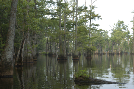 Eagle Lake Fishing Trip