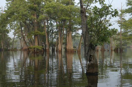 Eagle Lake Fishing Trip