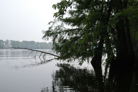 Eagle Lake Fishing Trip
