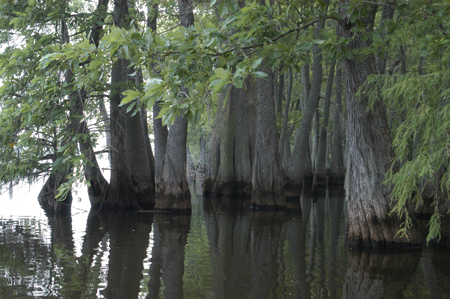 Eagle Lake Fishing Trip