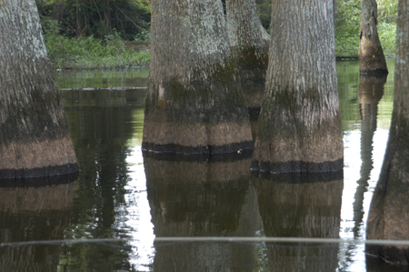 Eagle Lake Fishing Trip