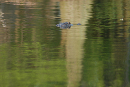 Eagle Lake Fishing Trip
