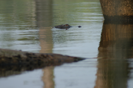Eagle Lake Fishing Trip