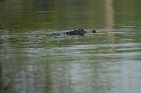 Eagle Lake Fishing Trip