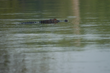 Eagle Lake Fishing Trip