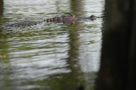 Eagle Lake Fishing Trip