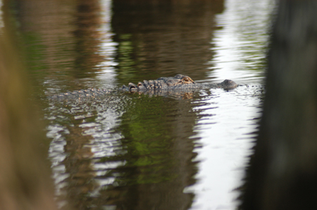 Eagle Lake Fishing Trip