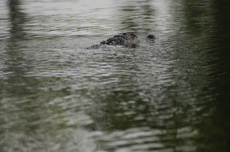 Eagle Lake Fishing Trip