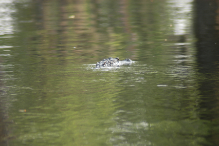 Eagle Lake Fishing Trip