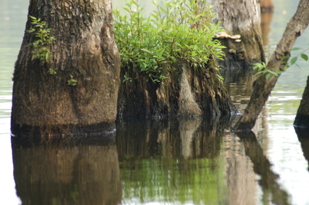 Eagle Lake Fishing Trip