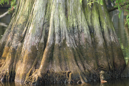 Eagle Lake Fishing Trip