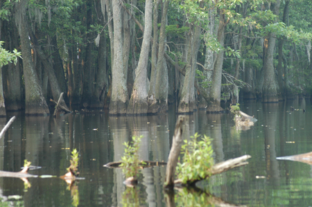 Eagle Lake Fishing Trip