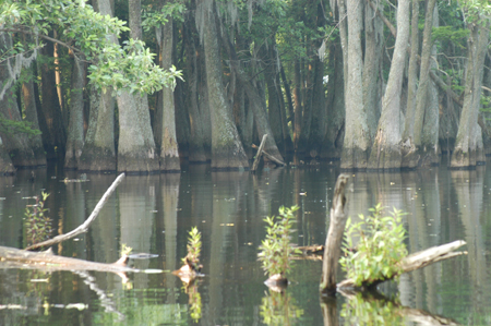 Eagle Lake Fishing Trip