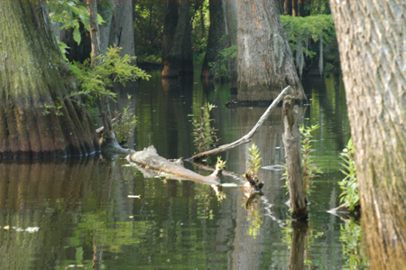 Eagle Lake Fishing Trip
