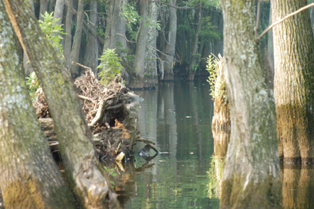 Eagle Lake Fishing Trip