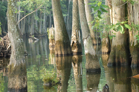 Eagle Lake Fishing Trip