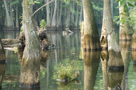 Eagle Lake Fishing Trip