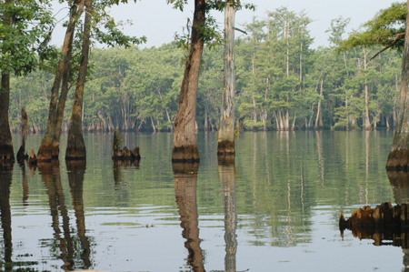 Eagle Lake Fishing Trip