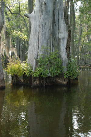 Eagle Lake Fishing Trip