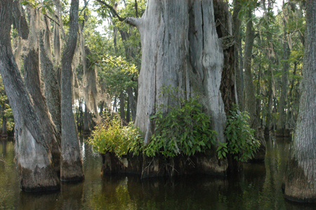 Eagle Lake Fishing Trip