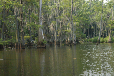 Eagle Lake Fishing Trip