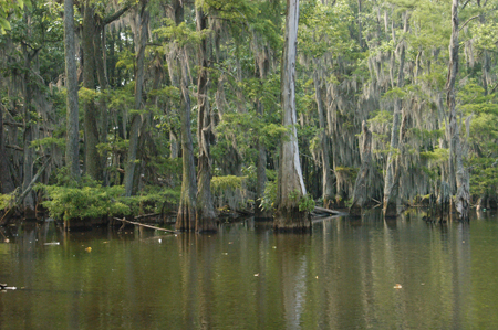 Eagle Lake Fishing Trip