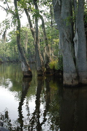 Eagle Lake Fishing Trip