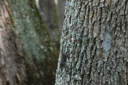 Eagle Lake Fishing Trip