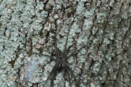 Eagle Lake Fishing Trip