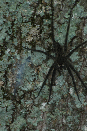 Eagle Lake Fishing Trip