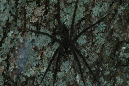 Eagle Lake Fishing Trip