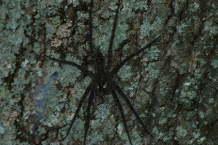 Eagle Lake Fishing Trip