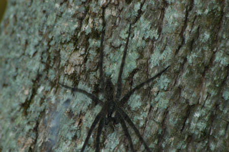 Eagle Lake Fishing Trip