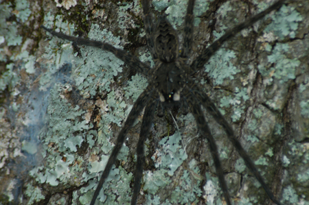 Eagle Lake Fishing Trip