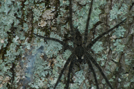 Eagle Lake Fishing Trip