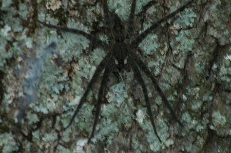 Eagle Lake Fishing Trip