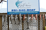 Gulf Shores Fishing Trip