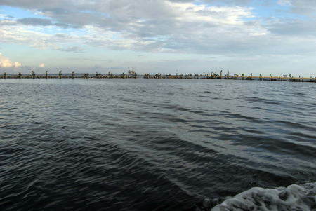 Gulf Shores Fishing Trip