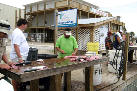 Gulf Shores Fishing Trip