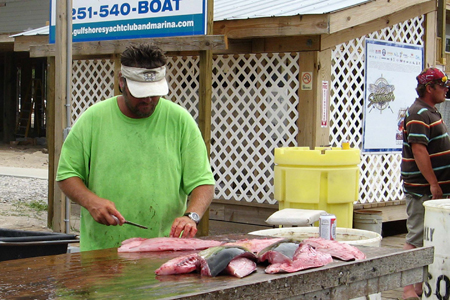 Gulf Shores Fishing Trip