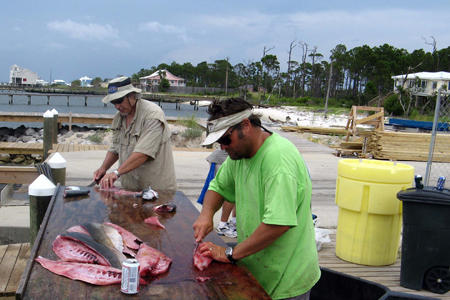 Gulf Shores Fishing Trip