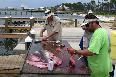 Gulf Shores Fishing Trip