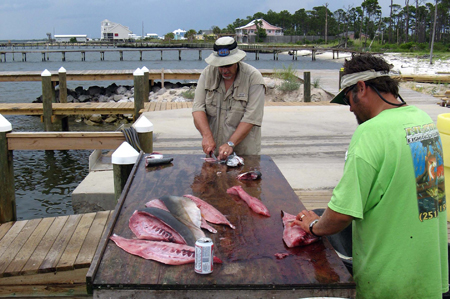 Gulf Shores Fishing Trip