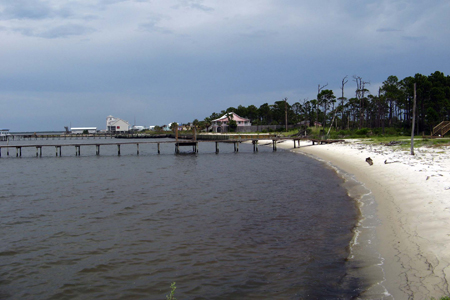 Gulf Shores Fishing Trip
